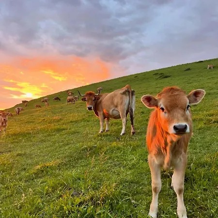 Ocean Essence Apartamento *